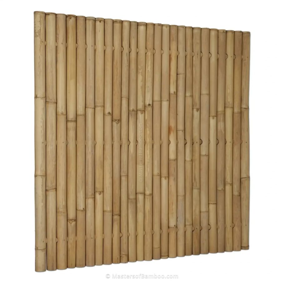 Dikke bamboe schutting