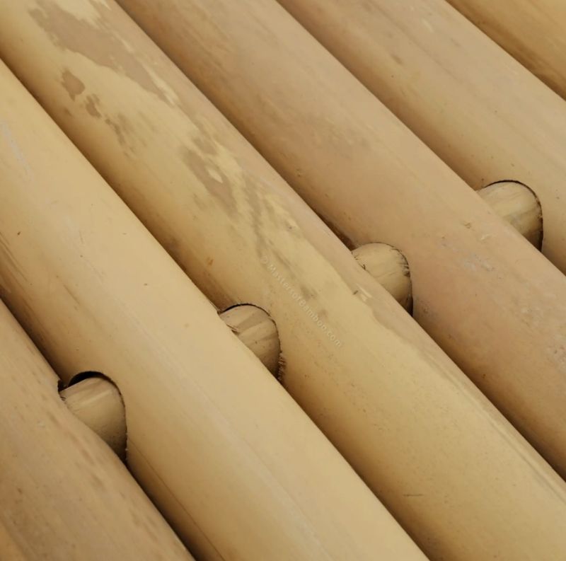 Bamboe schutting naturel kleur